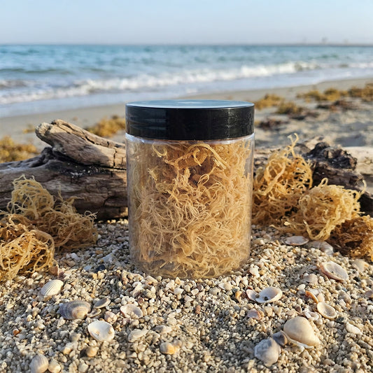 Sea Moss (Raw), Full Spectrum Sea Moss, Gel and Sea Moss Gummies