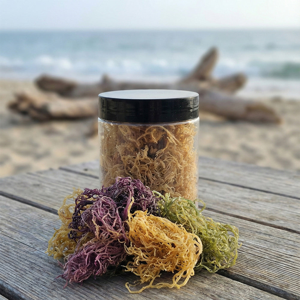 Sea Moss (Raw), Full Spectrum Sea Moss, Gel and Sea Moss Gummies